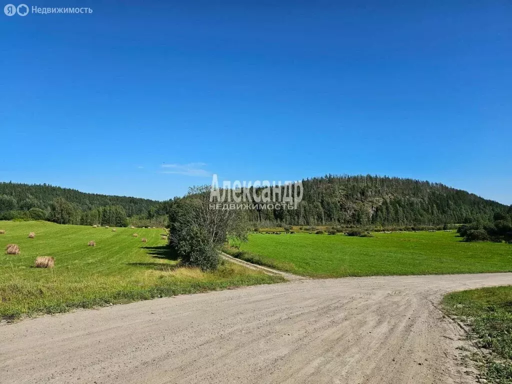 Участок в Республика Карелия, Лахденпохский муниципальный округ, ... - Фото 2