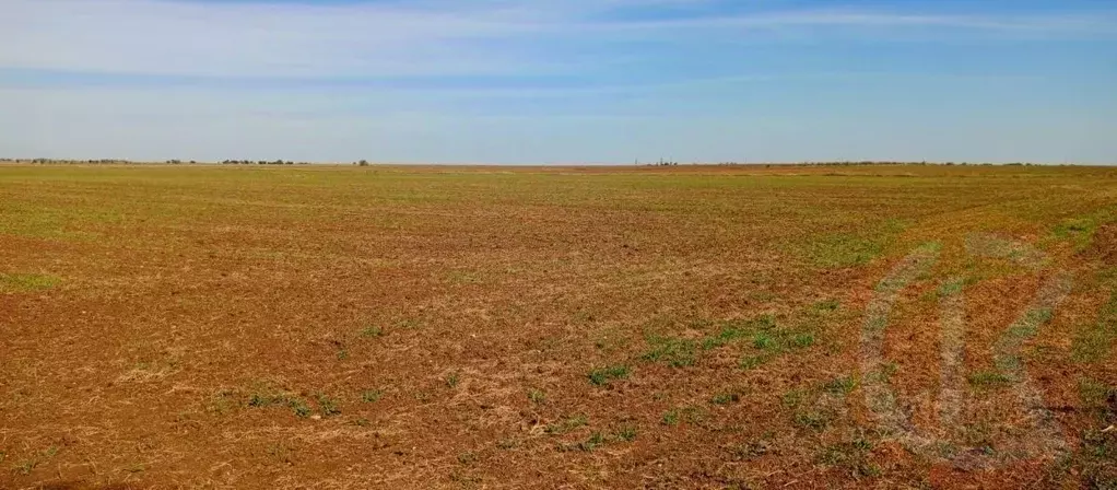 Участок в Крым, Сакский район, с. Добрушино  (132.0 сот.) - Фото 2