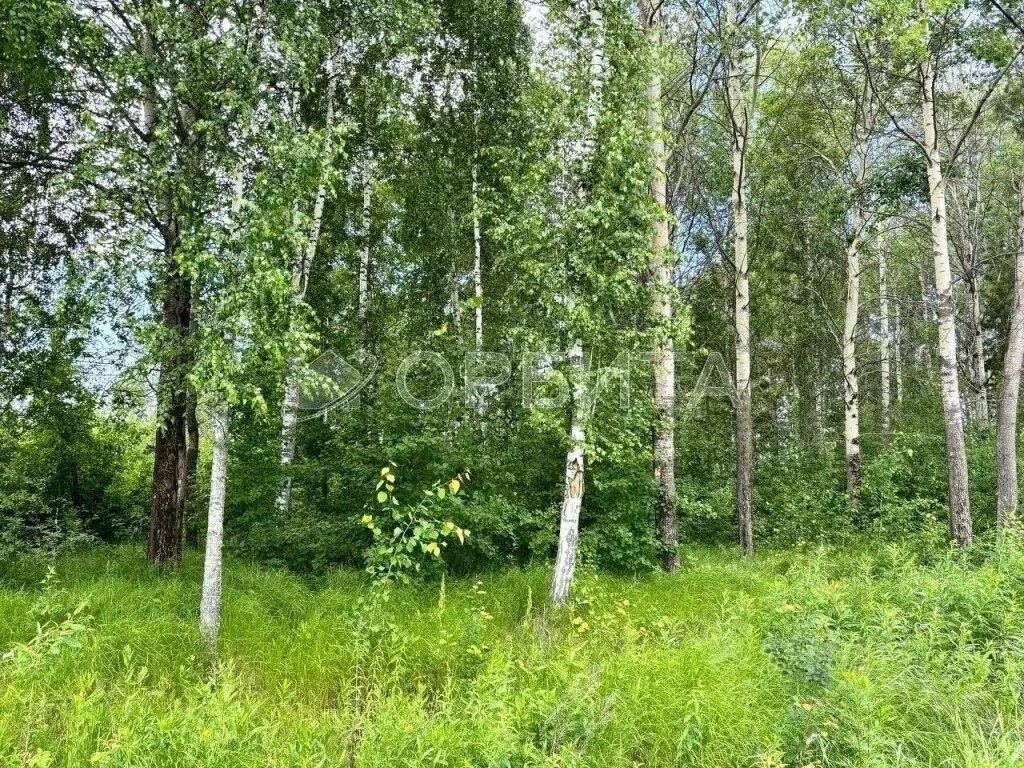 Участок в Тюменская область, Тюменский муниципальный округ, д. Зырянка ... - Фото 2