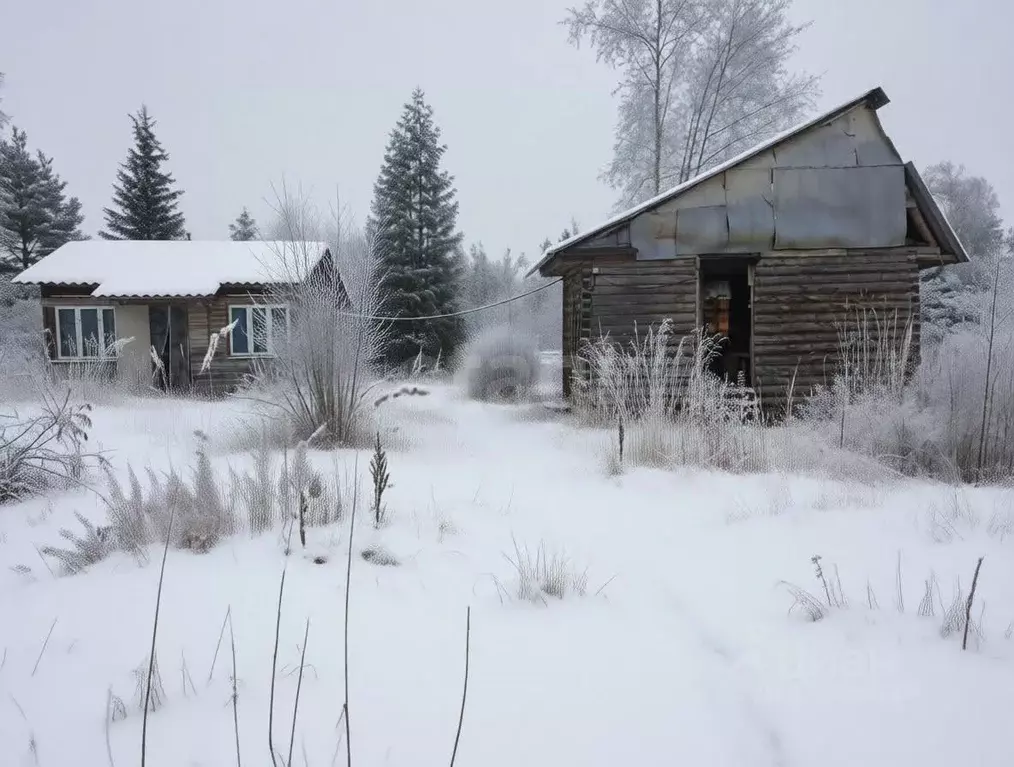 Дом в Ленинградская область, Киришский район, Кусинское с/пос, ... - Фото 1
