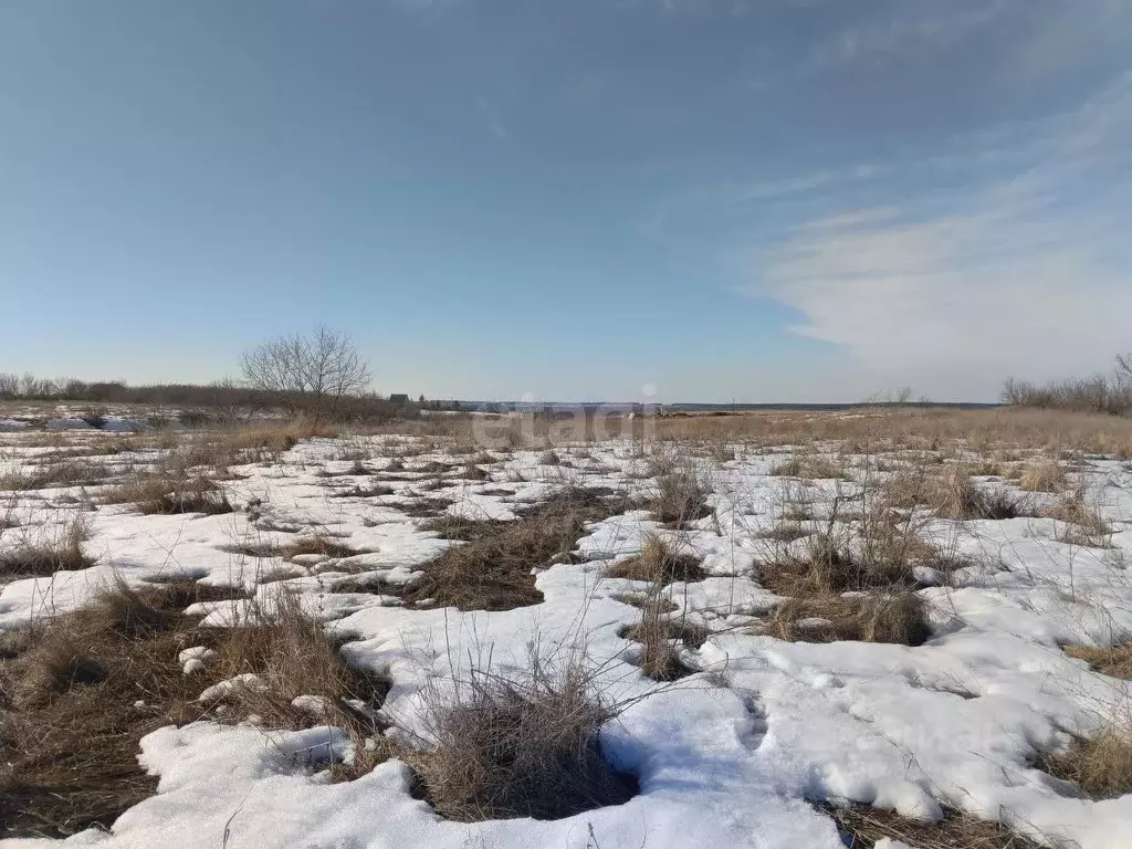Участок в Саратовская область, Балашовский район, Хоперское ... - Фото 0
