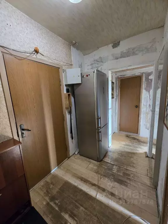 Комната Москва 15-я Парковая ул., 18к2 (16.0 м) - Фото 1