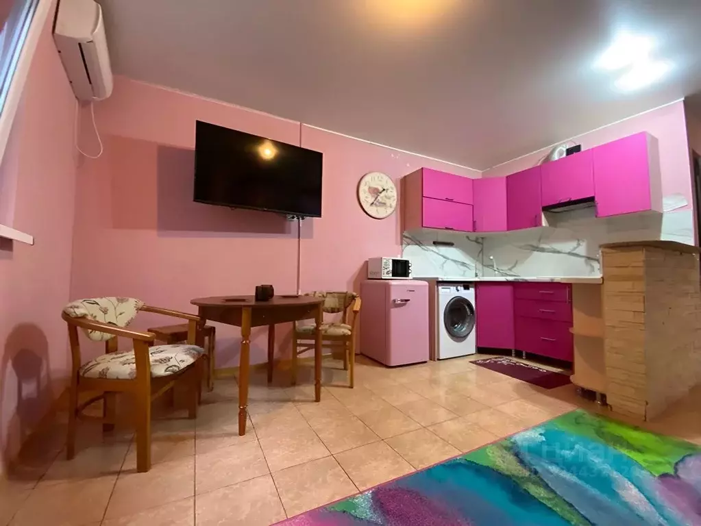 Студия Краснодарский край, Сочи Сухумское ш., 19/2 (29.0 м) - Фото 2