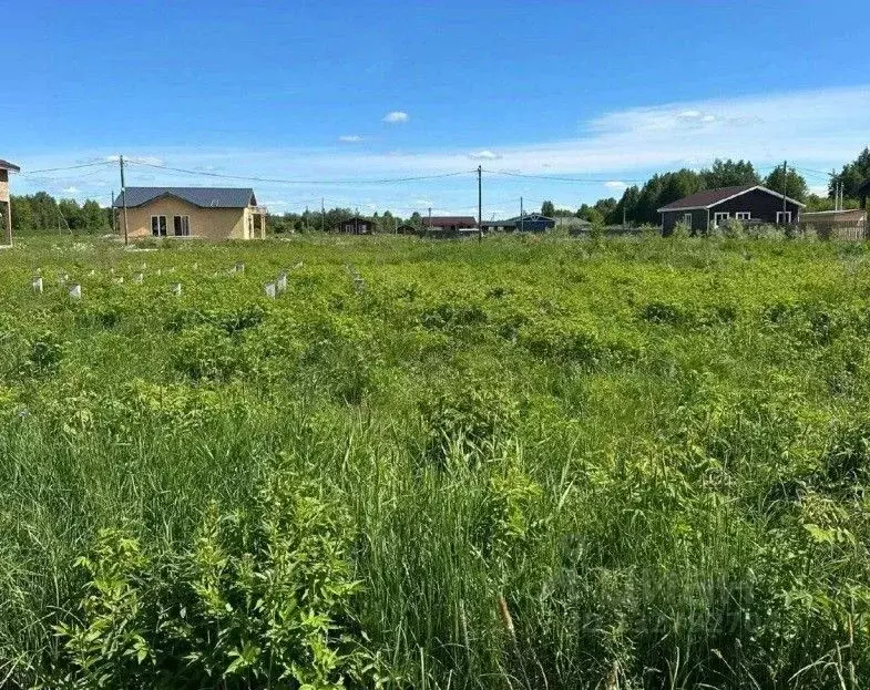 Участок в Вологодская область, Удачное ДНТ ул. Прибрежная, 5 (12.0 ... - Фото 1