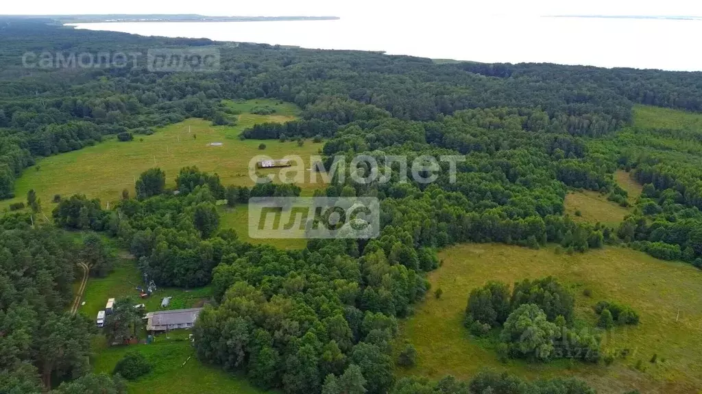 Участок в Калининградская область, Ладушкин Молодежная ул. (8.88 сот.) - Фото 0