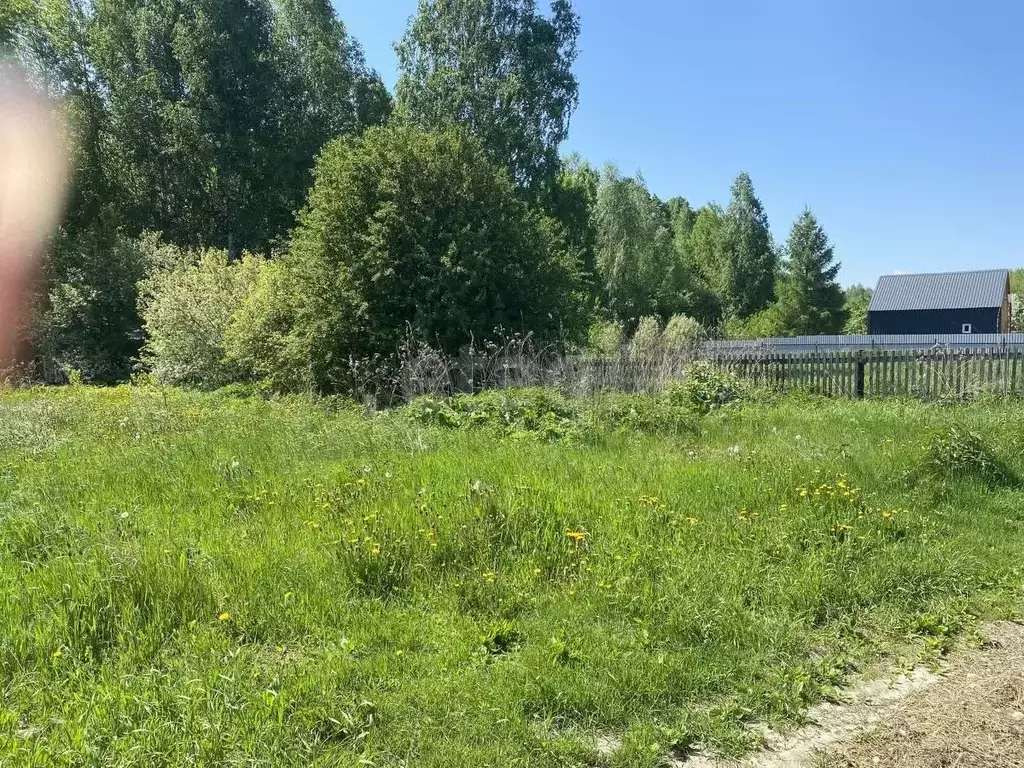 Участок в Тюменская область, Нижнетавдинский муниципальный округ, ... - Фото 1