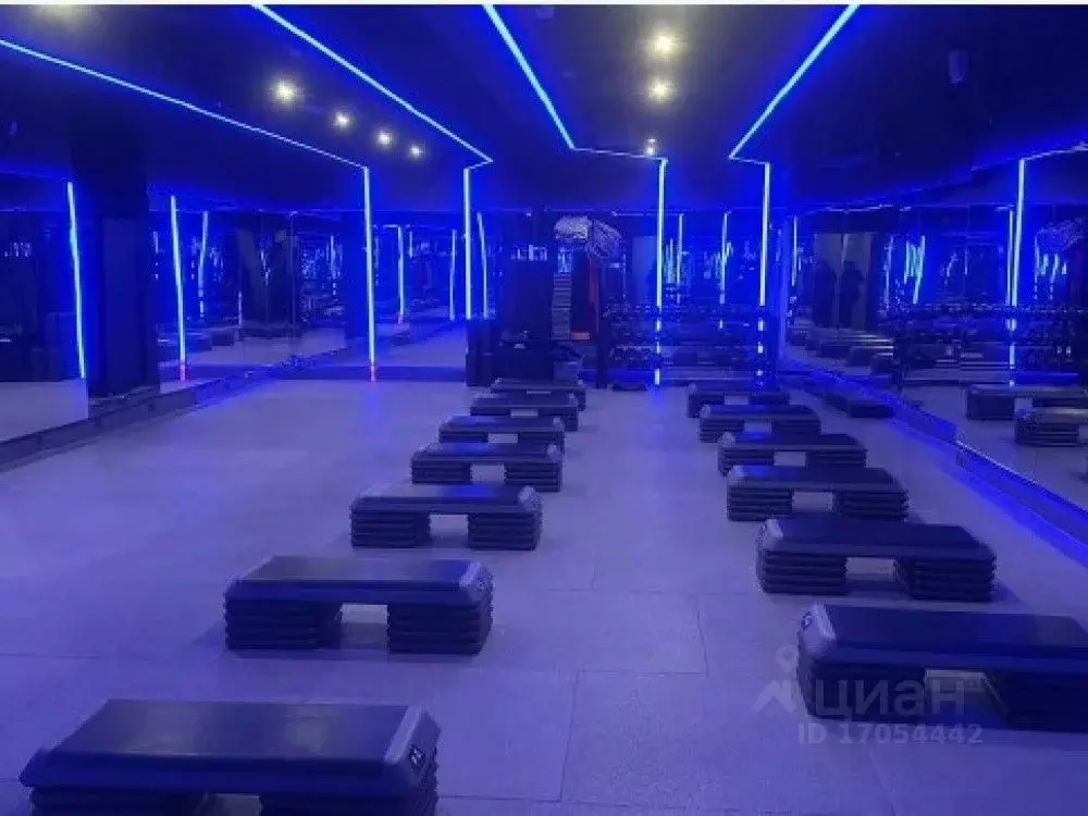 Офис в Москва ул. Воздвиженка, 4/7С2 (189 м) - Фото 2