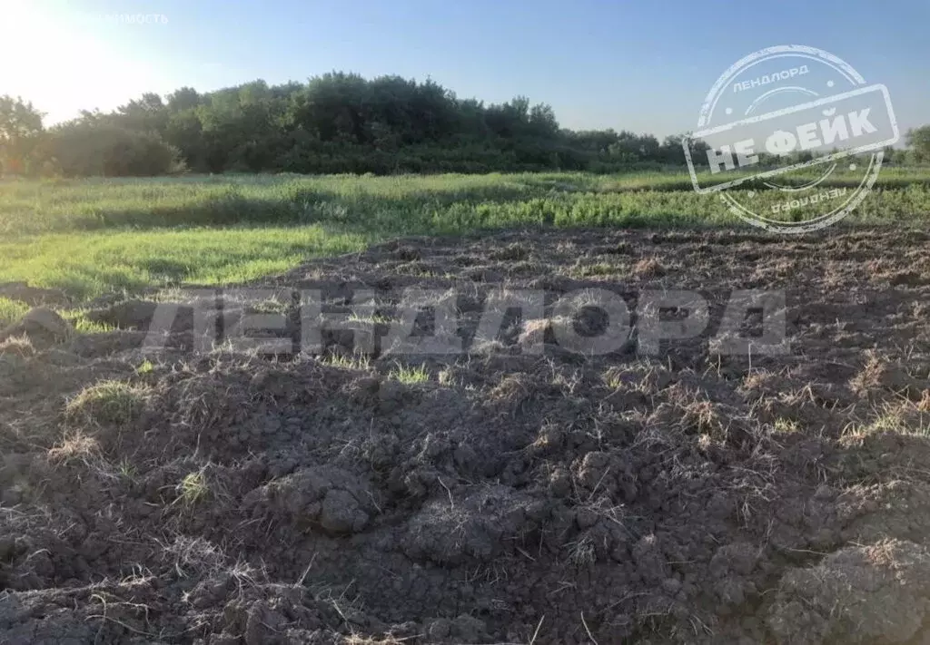 Участок в станица Грушевская, Зелёная улица (9 м) - Фото 1
