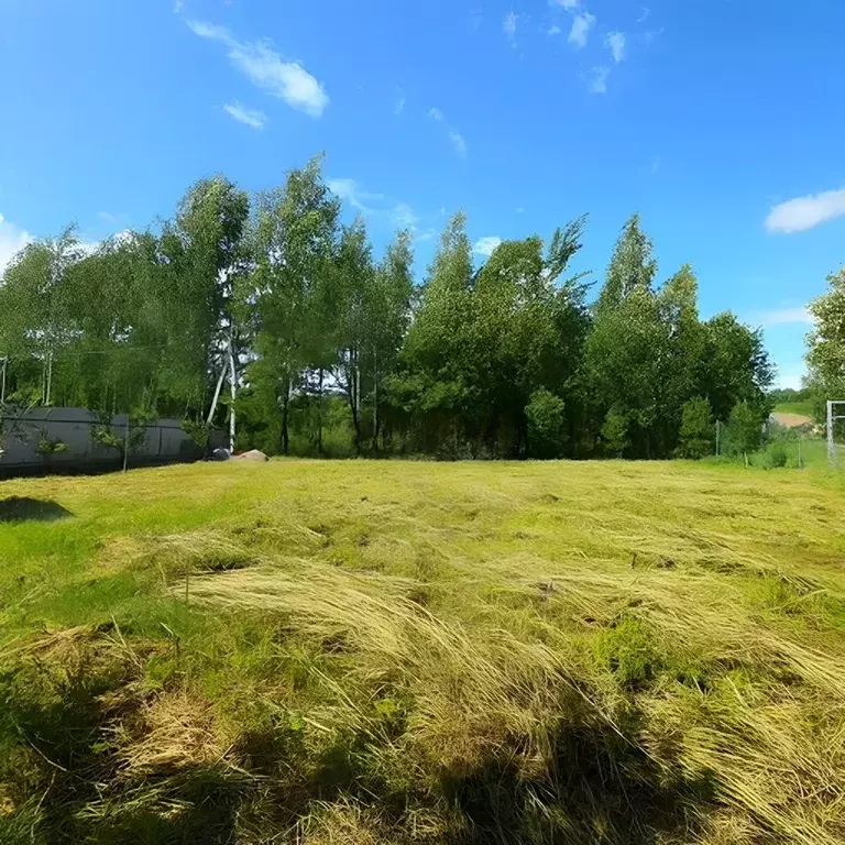 Участок в Московская область, Химки Фирсановка мкр, ул. Серова, 16 ... - Фото 2