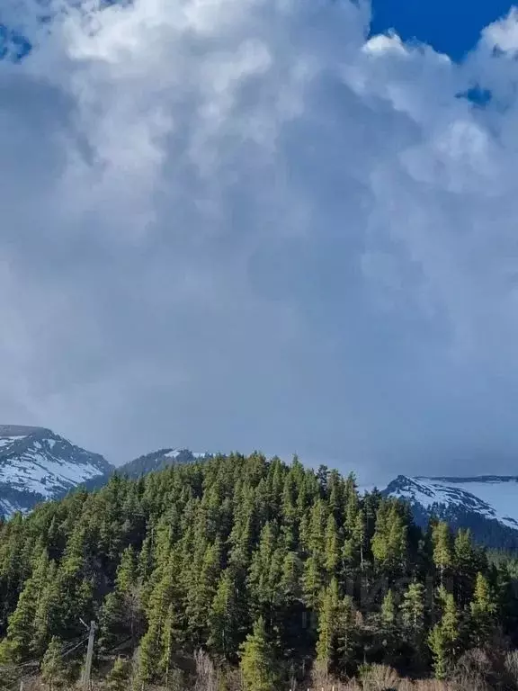 Дом в Карачаево-Черкесия, Зеленчукский район, с. Архыз ул. Курджиева, ... - Фото 1