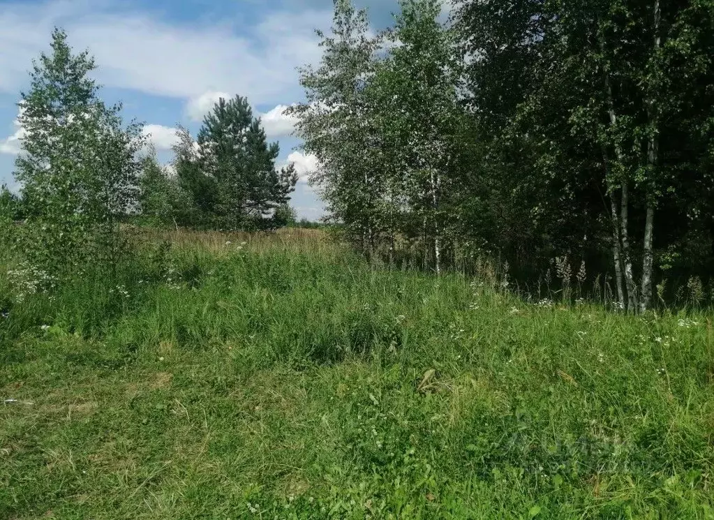 Участок в Московская область, Орехово-Зуевский городской округ, д. ... - Фото 1