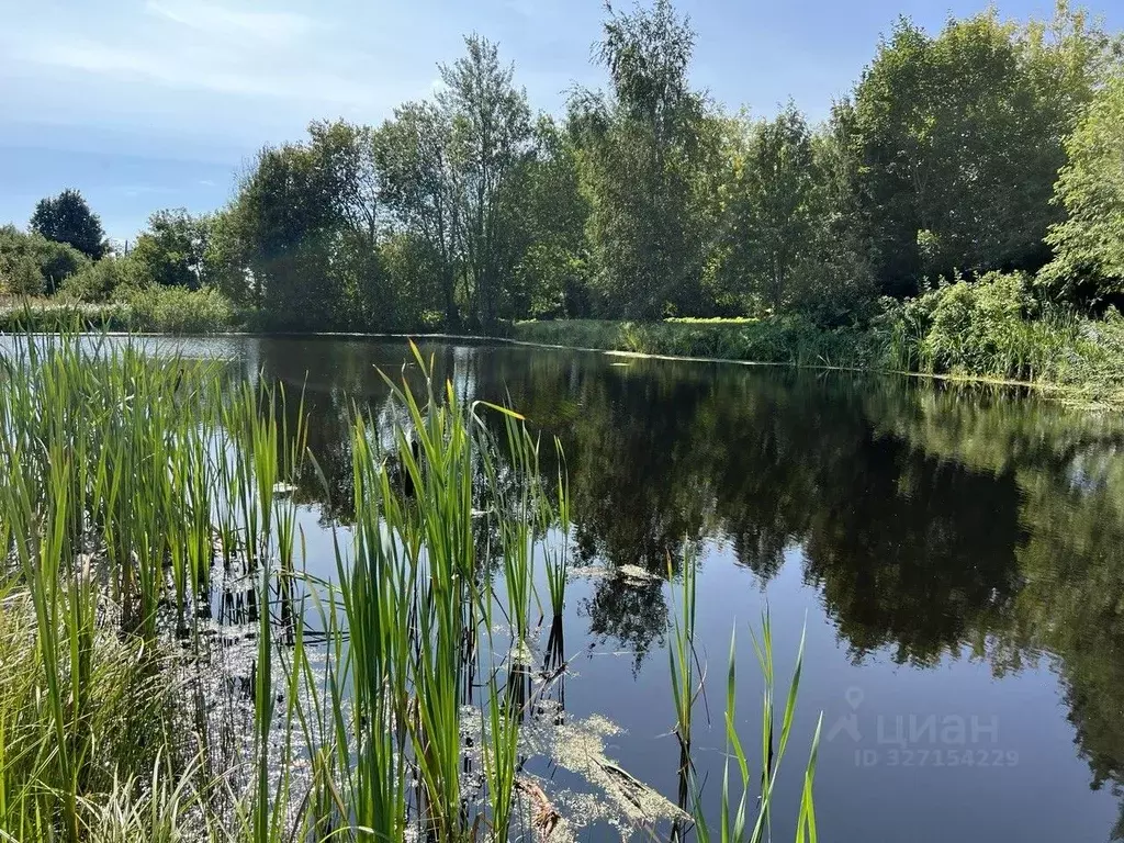 Участок в Московская область, Истра муниципальный округ, с. Онуфриево ... - Фото 2