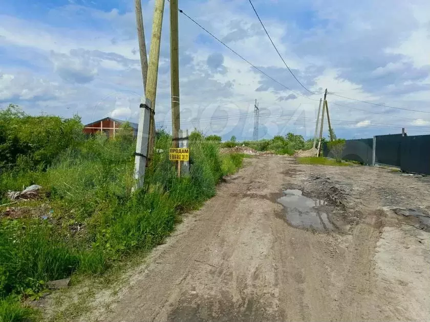 Участок 12,5 сот. (СНТ, ДНП) - Фото 1
