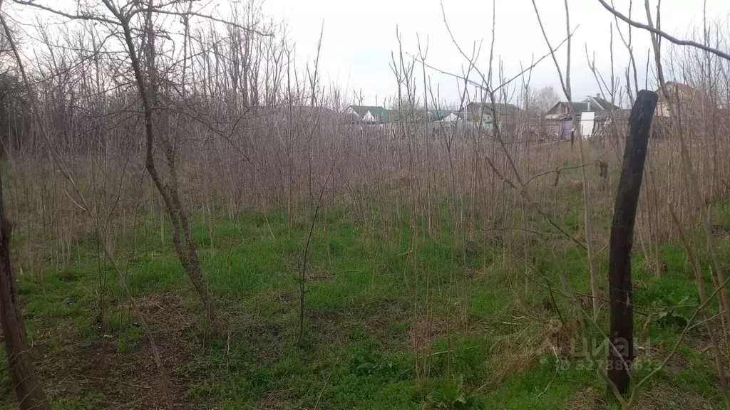 Участок в Ставропольский край, Кочубеевский муниципальный округ, с. ... - Фото 1