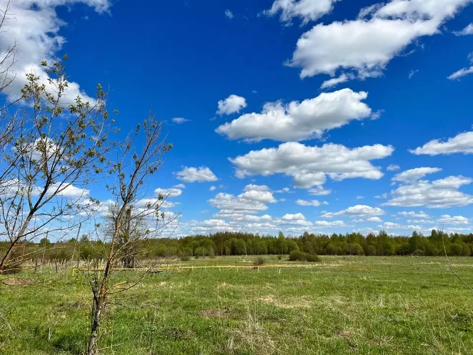 Участок в Ярославская область, Переславль-Залесский городской округ, ... - Фото 1