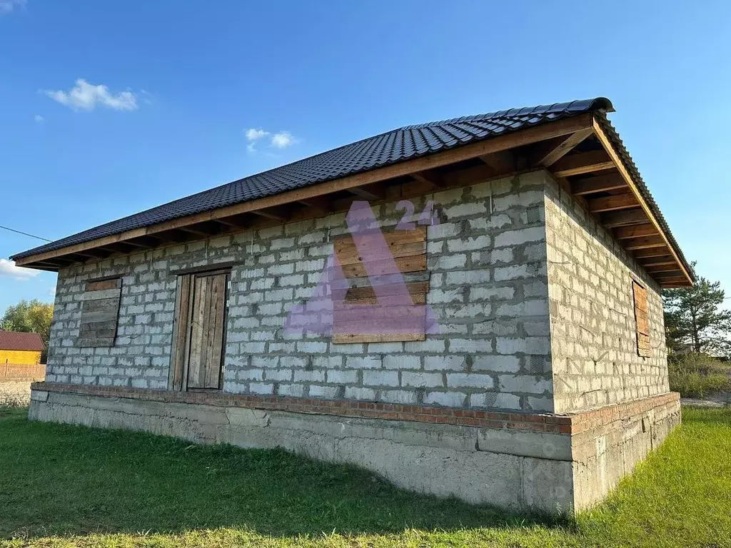 Дом в Алтайский край, с. Павловск ул. Демидовская, 22 (120 м) - Фото 1