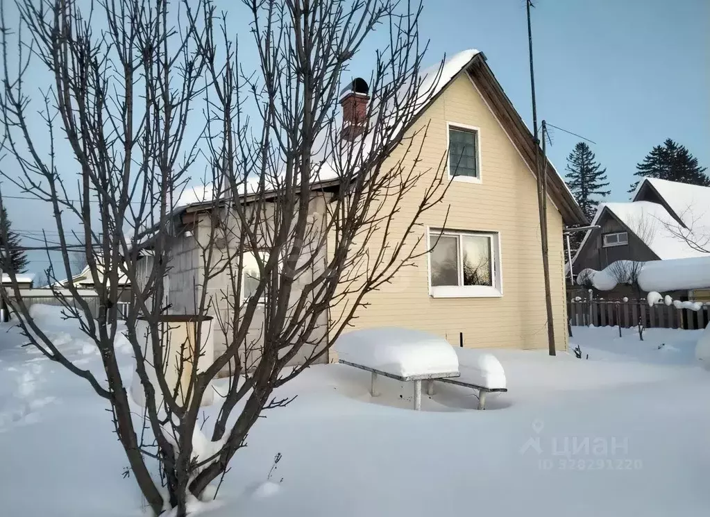 Дом в Пермский край, Добрянка Радужная ул., 14 (50 м) - Фото 1