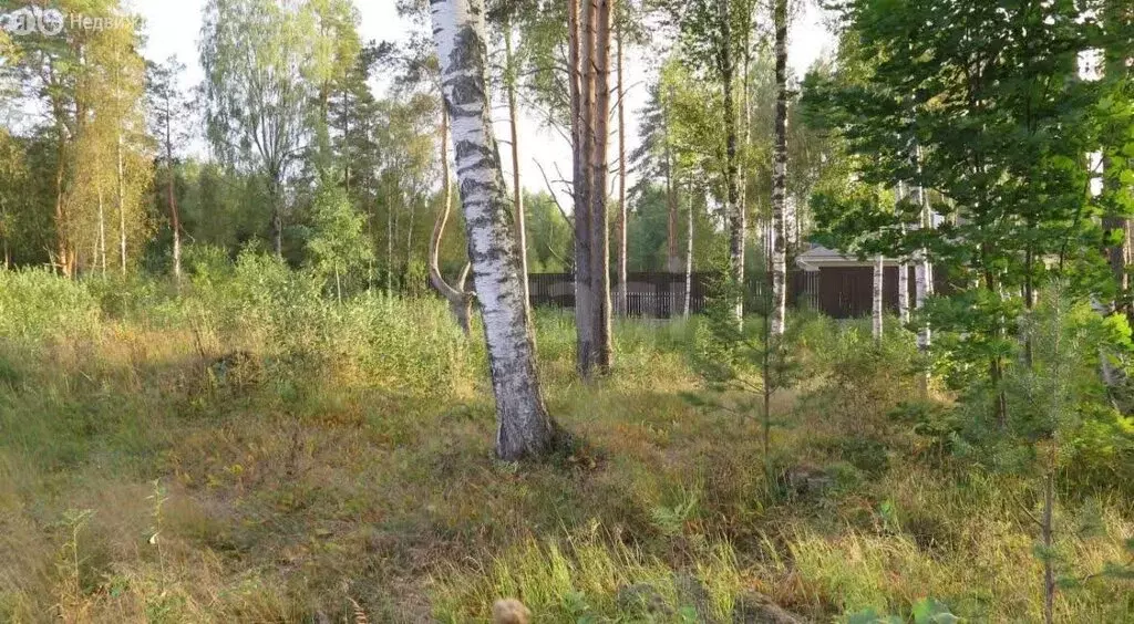 Участок в деревня Матокса, Окружная улица (10.84 м) - Фото 1