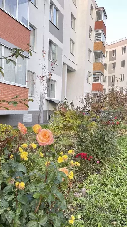 3-к кв. Санкт-Петербург, Санкт-Петербург, Петергоф ул. Парковая, 20к2 ... - Фото 1