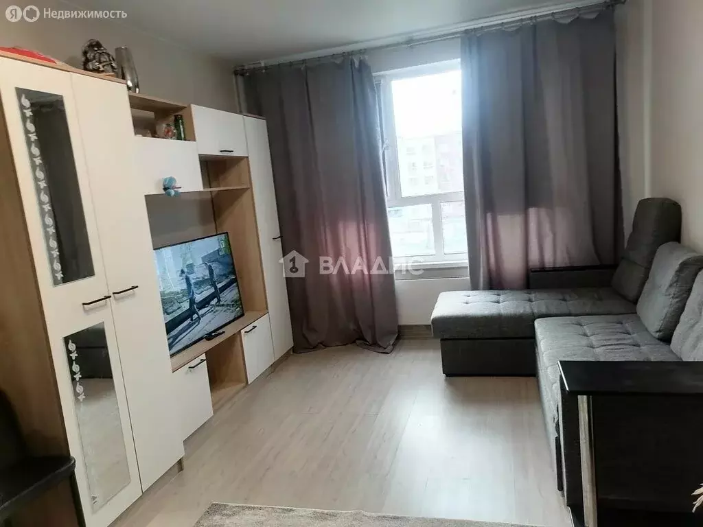 Квартира-студия: деревня Глухово, Романовская улица, 13 (24 м) - Фото 0