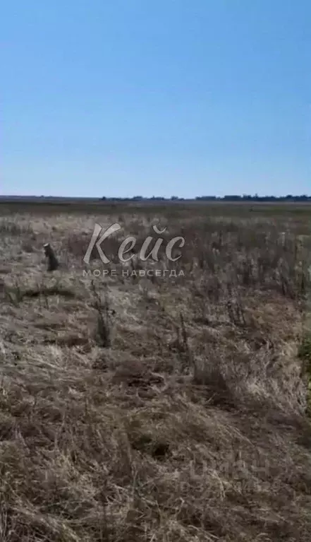 Участок в Крым, Ленинский район, Батальненское с/пос, Нептун СНТ  (6.5 ... - Фото 1