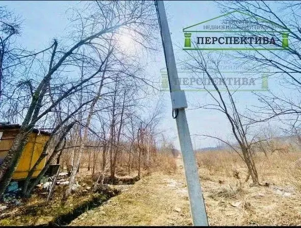 Участок в Приморский край, Артем Березка-3 СТ, 76 (10.0 сот.) - Фото 1