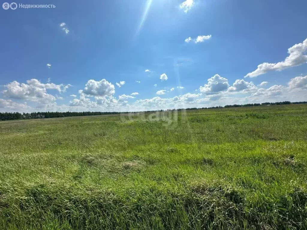 Участок в Тамбов, улица имени Сергея Дроздова (7.5 м) - Фото 1