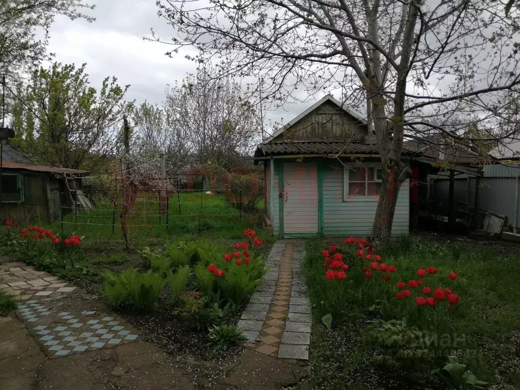 Дом в Ростовская область, Волгодонск ул. Максима Горького (60 м) - Фото 2