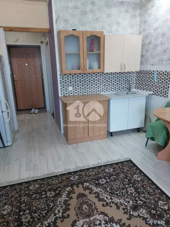 Студия Новосибирская область, Новосибирский район, Каменский ... - Фото 1