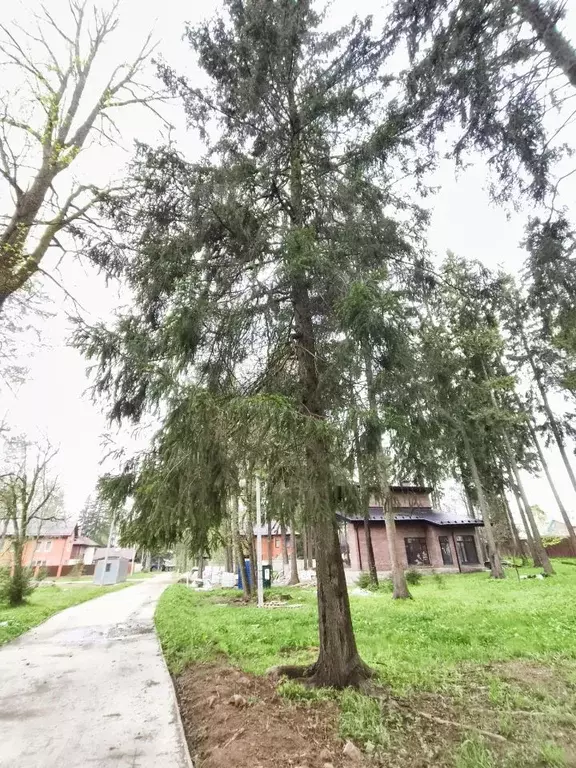 Участок в Московская область, Истра муниципальный округ, пос. ... - Фото 1