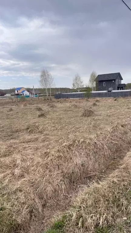 Участок в Новосибирская область, Новосибирский район, Криводановский ... - Фото 2