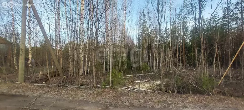 Участок в Республика Коми, муниципальный район Корткеросский, ... - Фото 1