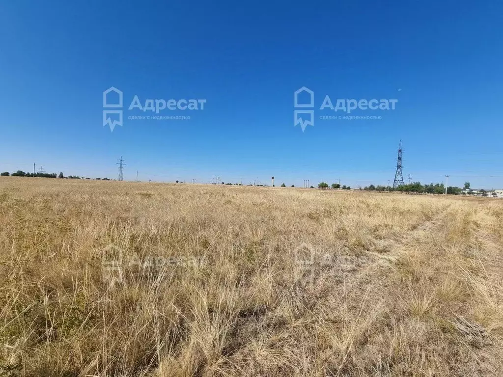 Участок в Волгоградская область, Городищенский район, Царицынское ... - Фото 2