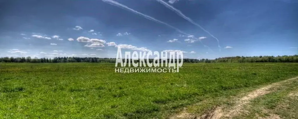 Участок в Ленинградская область, Волосовский район, Клопицкое с/пос, ... - Фото 1
