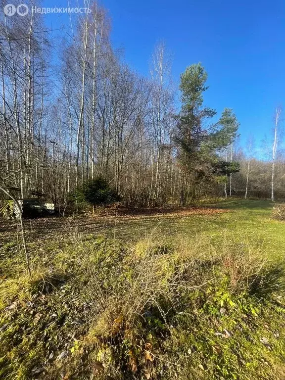 Участок в Владимирская область, Александровский муниципальный округ, ... - Фото 1