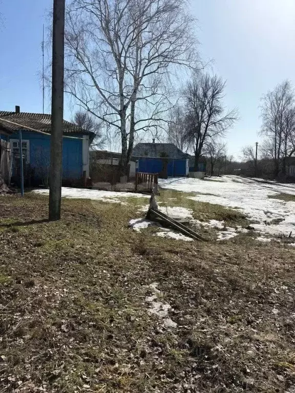 Дом в Курская область, Обоянский район, Афанасьевский сельсовет, с. ... - Фото 1