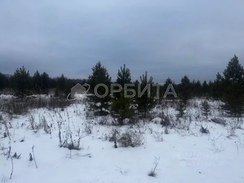 Участок в Тюменская область, Тюменский муниципальный округ, с. ... - Фото 2