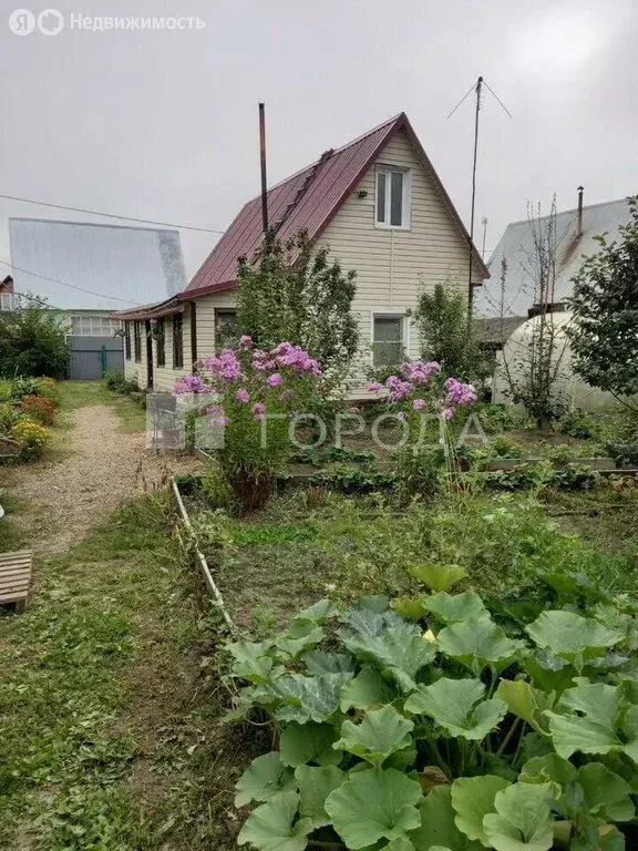 Дом в Колыванский район, СТ Надежда, 30-я улица, 539 (50 м) - Фото 1