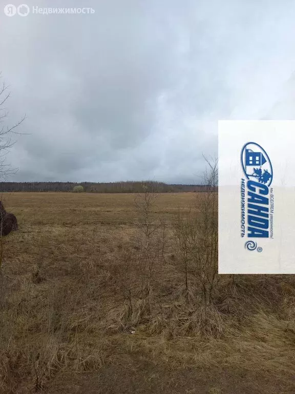 Участок в Тверская область, Калининский муниципальный округ, деревня ... - Фото 1