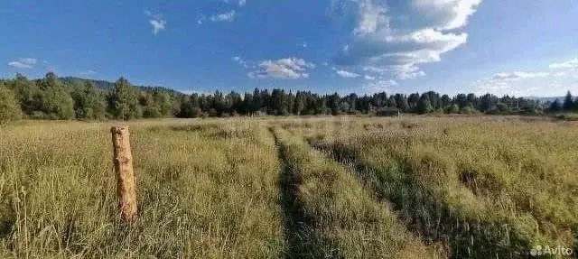 Участок в Алтай, Чойский район, Каракокшинское с/пос, с. Кузя ул. ... - Фото 1