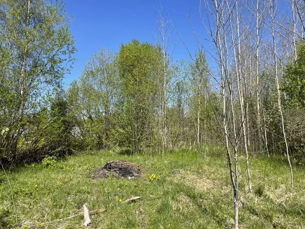 Участок в Псковская область, Гдовский район, Добручинская волость, ... - Фото 1