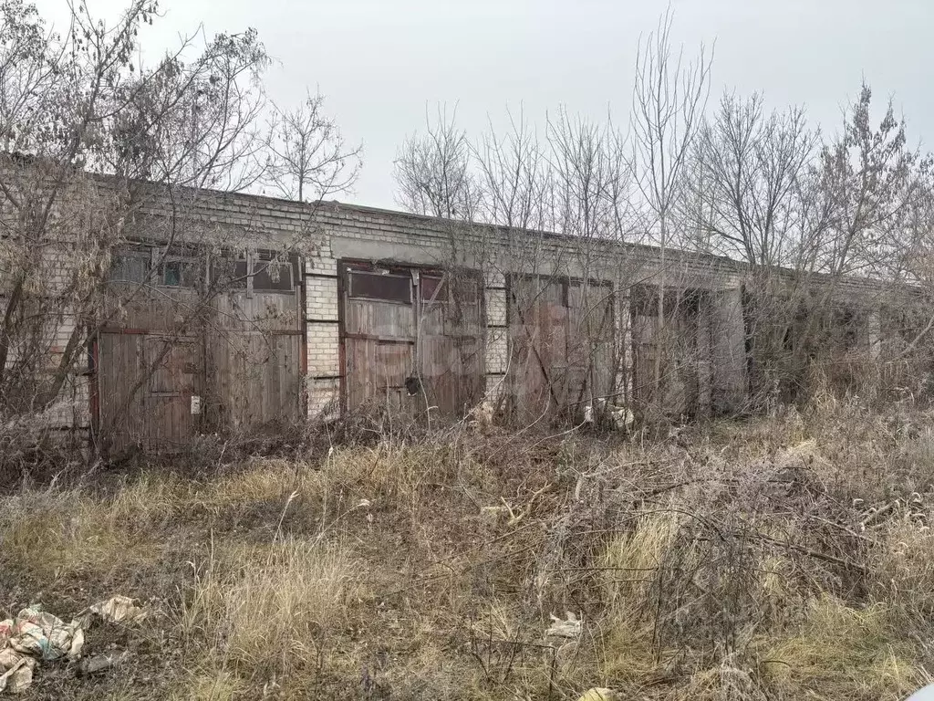 Помещение свободного назначения в Саратовская область, Балашов ул. ... - Фото 1