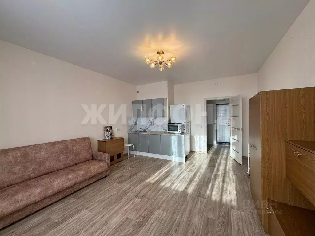 Студия Новосибирская область, Новосибирск ул. Бородина, 54 (31.0 м) - Фото 2