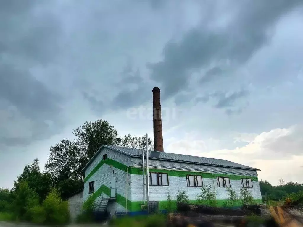 Склад в Ярославская область, Борисоглебский рп ул. Красноармейская, 72 ... - Фото 1