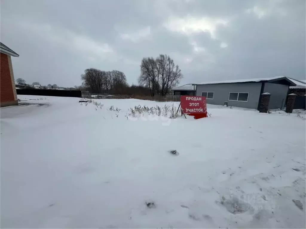 Участок в Новосибирская область, Колывань рп ул. Калинина (5.4 сот.) - Фото 0