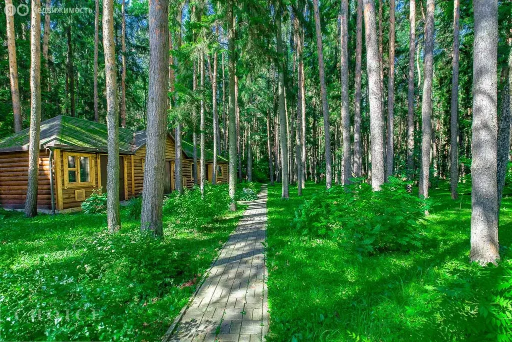 Участок в деревня Жуковка, КП Жуковка Академическая (28.3 м) - Фото 2