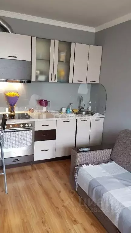 Студия Новосибирская область, Новосибирск Горский мкр, 63/1 (24.5 м) - Фото 1