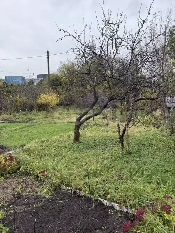 Участок в Калининградская область, Калининград ул. Александра ... - Фото 1