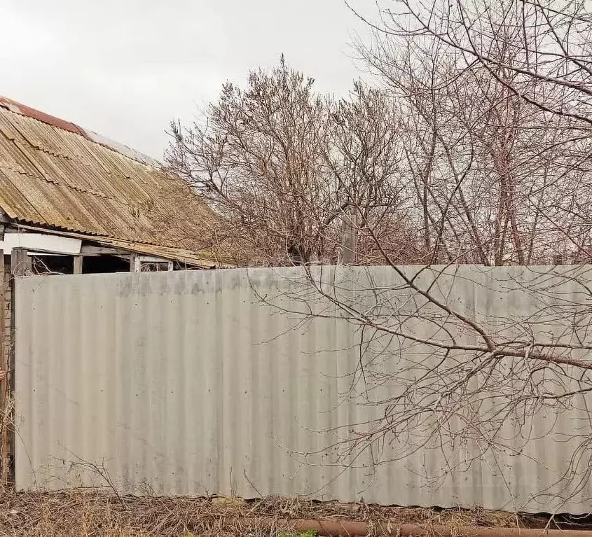 Участок в Волгоградская область, Волгоград Спутник СНТ, 1 массив, 1-я ... - Фото 2