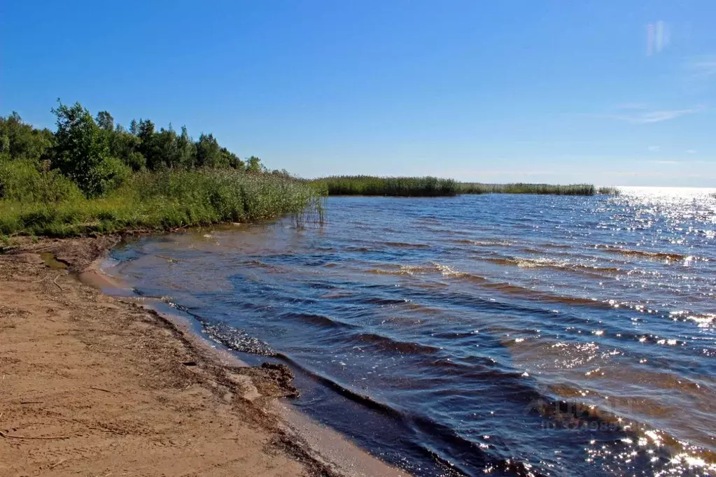 Участок в Карелия, Питкярантский муниципальный округ, д. Карку ул. ... - Фото 1